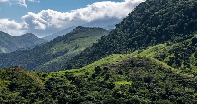Serranía del Perijá, despensa alimentaria del Cesar que se debe conservar