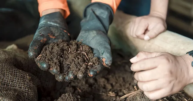 Extensión agropecuaria del país debe incluir enfoque agroecológico