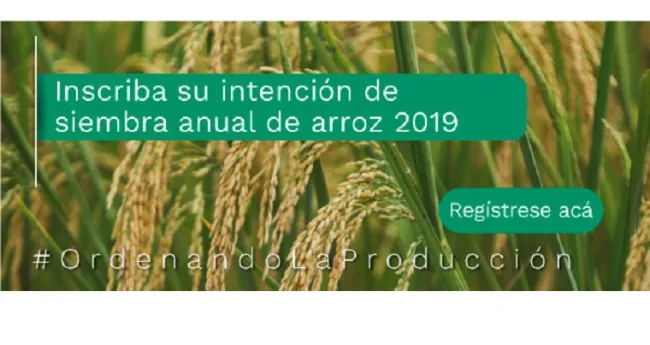 Inscripción de intención de siembra anual de arroz 2019
