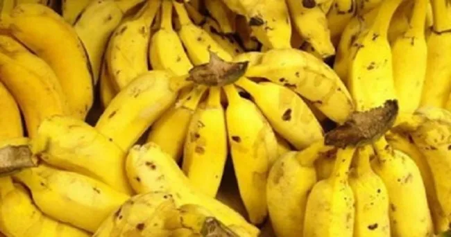 Luego de dos años, regresa el congreso técnico bananero de Colombia