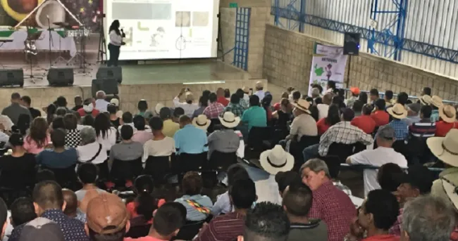 Productores antioqueños se capacitan para prevenir enfermedades del plátano y banano