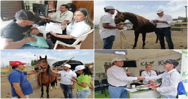 Con el respaldo del ICA, avanza Expomalocas 2020