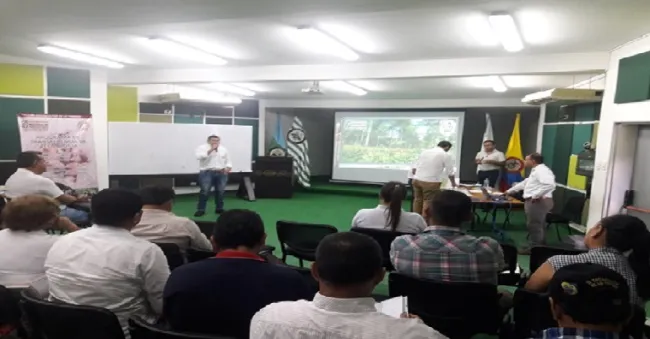 Calidad fitosanitaria y competitividad, objetivos de la Mesa Técnica del Cacao en el Meta