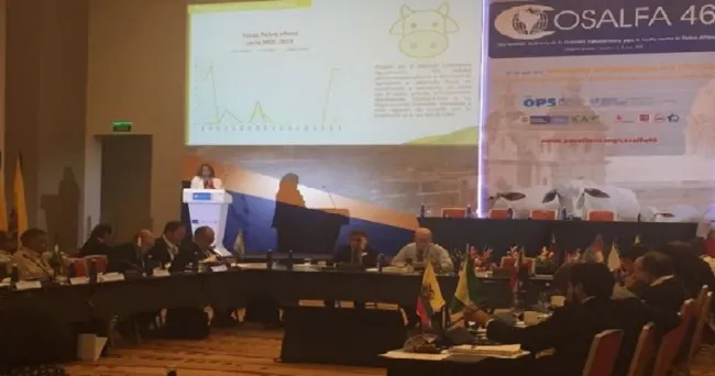 Erradicación de la fiebre aftosa, prioridad para Colombia
