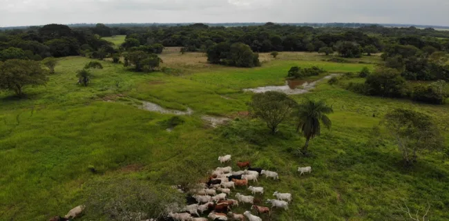 Intercambio de experiencias en tecnología para el monitoreo de cultivos entre la UPRA y ministerios de Agricultura de Colombia y Perú