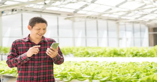 VENTAJAS DE LA TECNOLOGÍA BLOCKCHAIN PARA AUMENTAR TRANSPARENCIA DE MERCADOS INTERNACIONALES DE ALIMENTOS