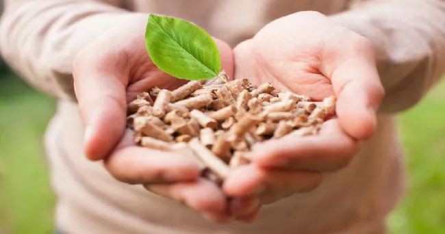 FONTAGRO y el IICA lanzan concurso de experiencias exitosas en bioeconomía en américa latina y el caribe