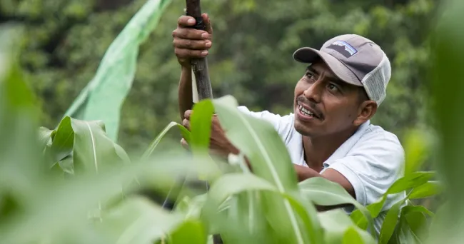 Proyecto agro-innova de la UE y el IICA impulsa red entre centros de investigación y productores para fortalecer su resiliencia al cambio climático