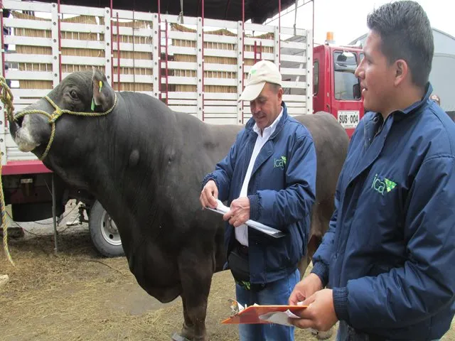 El ICA y organismos internacionales competentes de la salud humana y animal, unidos por el uso responsable de los antimicrobianos - 14 de noviembre de 2017
