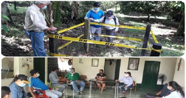 El ICA y el Consejo Territorial de Salud Ambiental en Caldas realizan control y monitoreo del caracol gigante africano