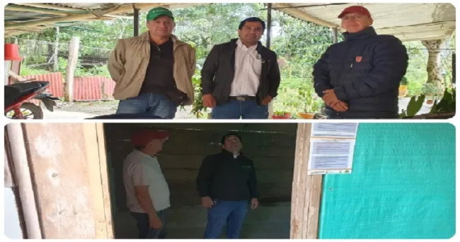 El ICA acompaña a productores de aguacate para la obtención del registro como predio exportador y certificación en BPA