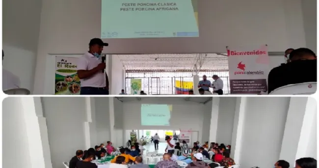 Porcicultores del Cauca se actualizan en enfermedades de control oficial