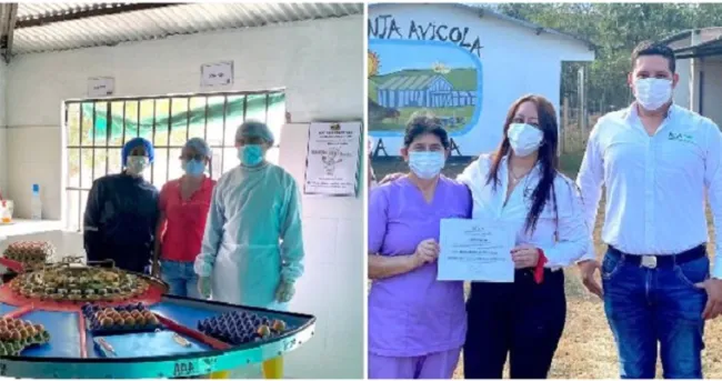 Avicultores de Arauca obtienen la certificación de Granjas Avícolas Bioseguras