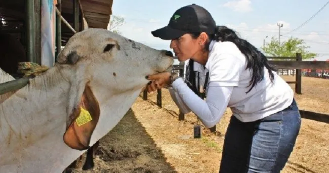 Personal que maneje animales de producción debe capacitarse en bienestar animal