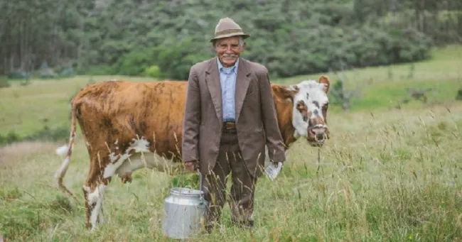 En el Cauca, el ICA sigue expidiendo las guías de movilización de animales para garantizar el abastecimiento de productos pecuarios en el departamento