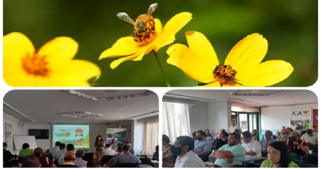 Proteger la apicultura, un compromiso con autoridades y gremios del Quindío