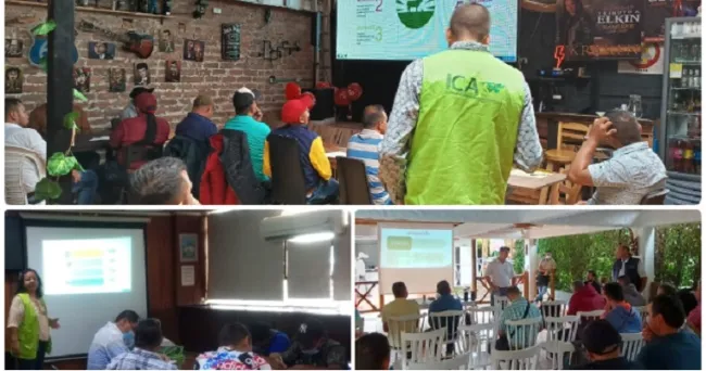 El ICA capacitó a 111 vacunadores en el Huila para avanzar en el primer ciclo de vacunación contra