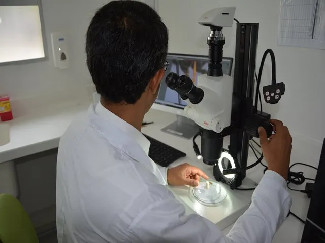 El Laboratorio de Diagnóstico Fitosanitario del ICA en Atlántico, en equipo con los productores