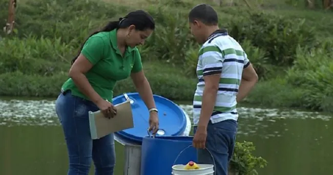 El ICA establece medidas para obtener el registro de establecimientos productores de animales acuáticos