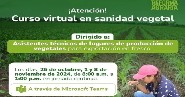 El ICA realizará curso en Sanidad Vegetal para asistentes técnicos de cultivos