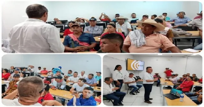 En Caquetá, inicia la implementación de la estrategia de extensión fitosanitaria con productores de limón Tahití