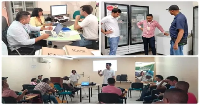 El ICA, Fedegán y Asogagua coordinan la vacunación contra la fiebre aftosa en La Guajira