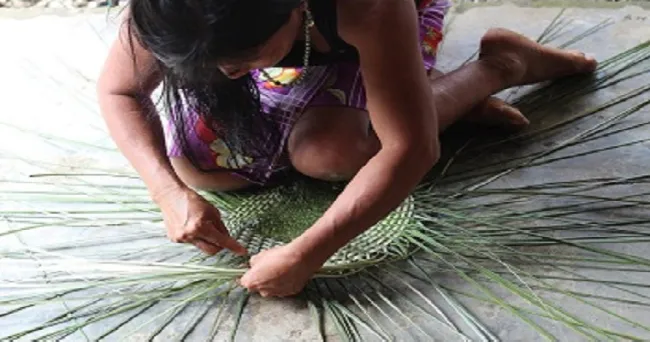Alianza entre el Banco Agrario y Artesanías de Colombia por los artesanos del país