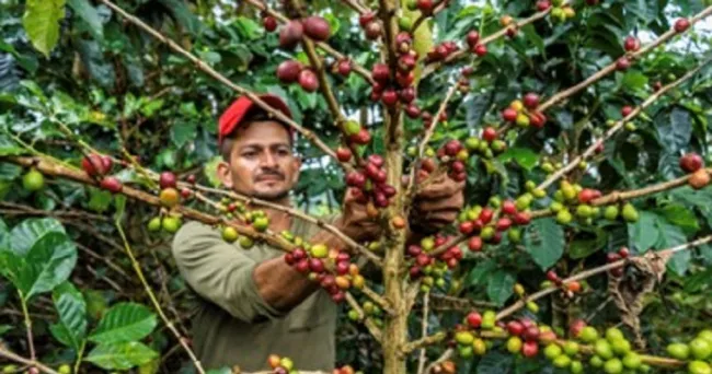 Juan Valdez lanza café de origen Meta con tecnología blockchain