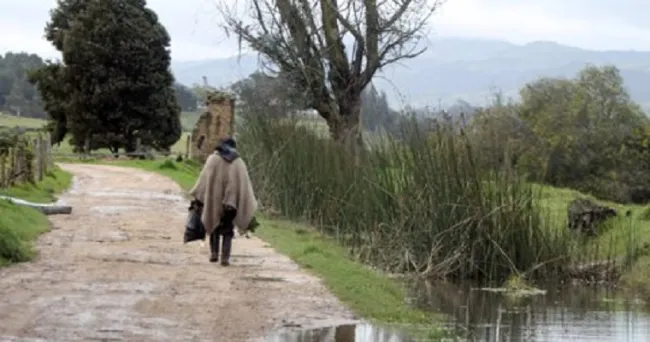 En época de lluvias, así puede evitar desastres en materia invernal desde su propia casa