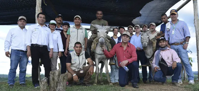 Más de 110 familias del Urabá antioqueño emprenden y se reconcilian gracias al cultivo del cacao - 17 de agosto de 2016