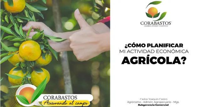 Tips para planificar tus cultivos
