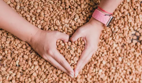 55 lotes entran a competir por el honor de ser el mejor café especial de Colombia
