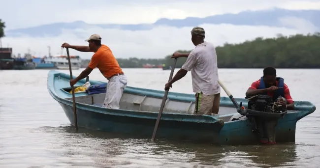 Pesca artesanal, una actividad pecuaria dinamizadora de la economía en Buenaventura