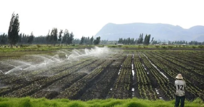 Las acciones que los agricultores deben realizar para tener cultivos orgánicos