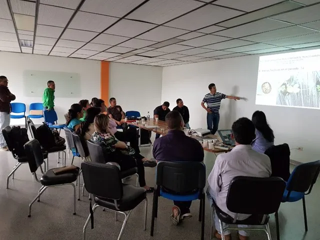 Con las alianzas productivas, el ICA apoya a pequeños y medianos agricultores de Guática, Risaralda