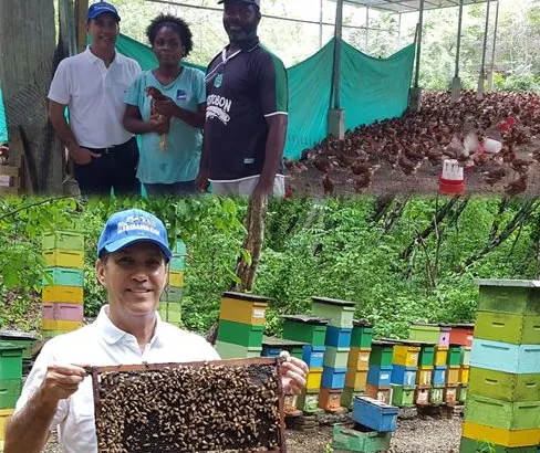 Gerente general del ICA visitó predios avícolas y apícolas en San Andrés