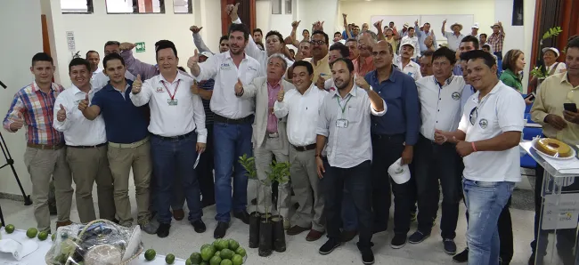 Seiscientas familias de las provincias comuneras de Santander siembran paz y prosperidad con cultivo de Lima Tahití - 28 de septiembre de 2016