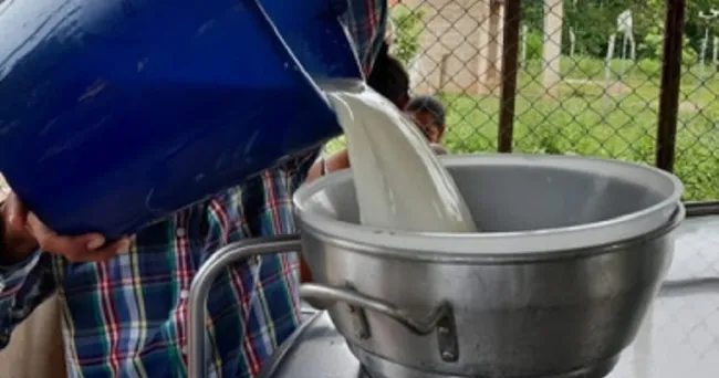 Acopio y precio de leche en Córdoba y Sucre siguen elevándose