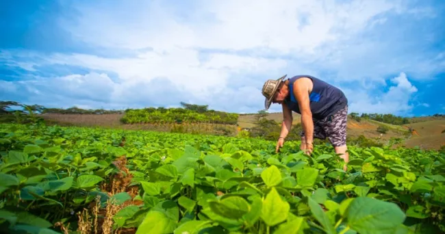 En las zonas rurales de Colombia hay más de 4,7 millones de personas ocupadas