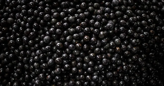 Propiedades antioxidantes del agraz lo convierten en refuerzo inmunológico natural