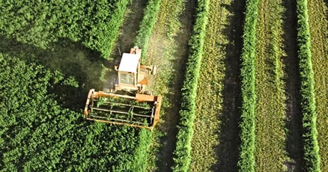 Top20 startups del sector Agrotech a tener en cuenta en 2021
