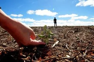 Agricultura baja en emisiones, nueva oportunidad de Colombia