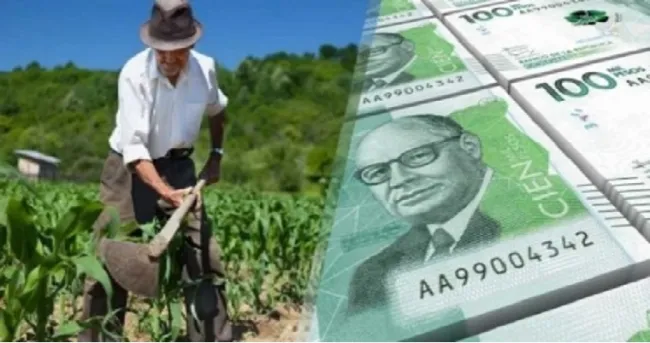 Varios departamentos apuestan al agro para reactivar la economía