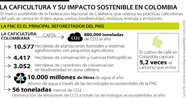 "La tendencia en el mercado internacional son los cafés fermentados y sostenibles"