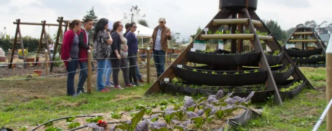Agricultura sin fronteras CORPOICA -28 de agosto de 2017
