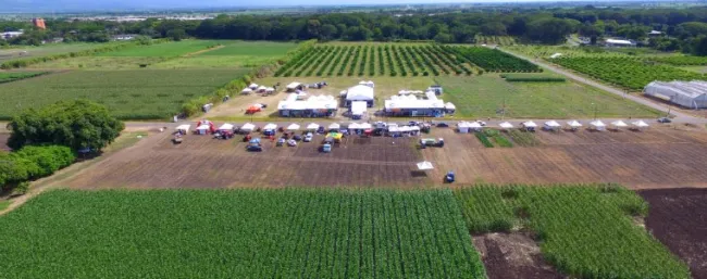 Expo Agrosavia, ciencia y tecnología para el sur del país