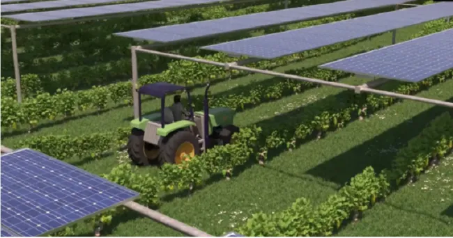 Agrovoltaica: la solución contra la escasez de suelo para la industria fotovoltaica que se alía con la España vaciada