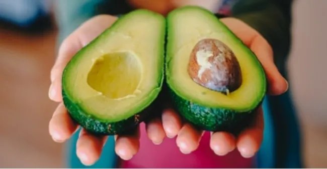 Nueva Zelanda busca ser la sede del Congreso Mundial de Aguacate 2023
