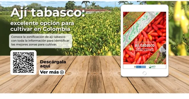 Webinar Hablemos de Tierras: "El futuro de la exportación agropecuaria: ají, piña y pimentón"