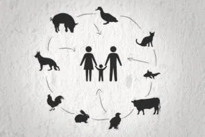 Cinco enfermedades que requieren atención en animales y en humanos